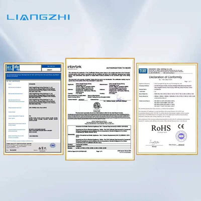 海水と海産物のためのLZ-1フラックアイスマシン400kg