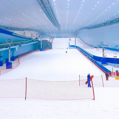 電流4.8A 220Kg 24時間LZ-500 高生産性の雪氷フラークマシン